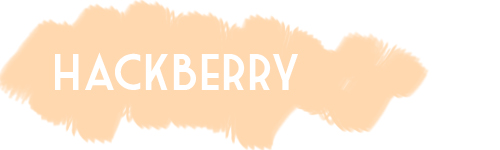 hackberry-titre